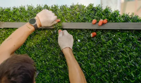 Строительство трава заборов Grass Fence под ключ